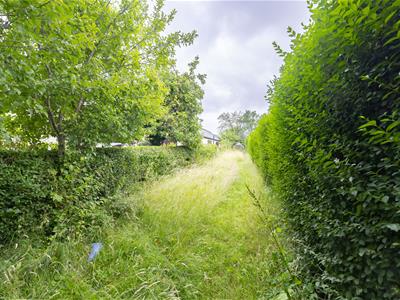 Picture 39